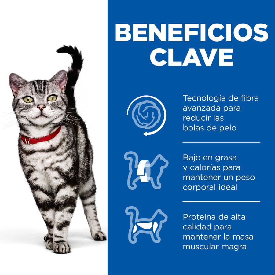 7 kg Hill's Adult Hairball Indoor Pollo pienso para gatos, , large Imagen numero 3